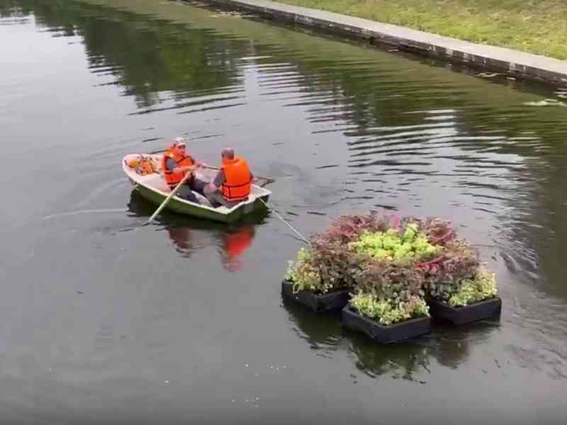 «Плавучие» острова появились в Орле на р. Орлик