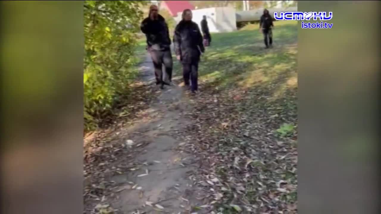 В Орле агрессивный пёс загрыз сородичей