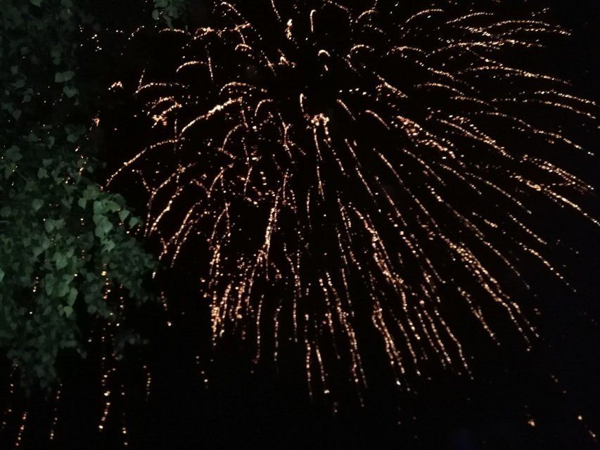 Праздничные мероприятия в День города в Орле отменять не будут