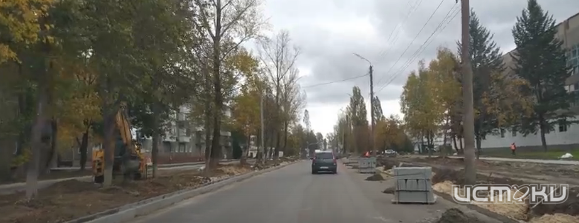 В Орле при ремонте улицы Бурова спиливают здоровые деревья