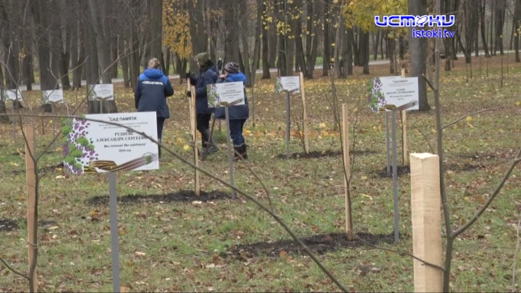 В честь погибших на СВО 