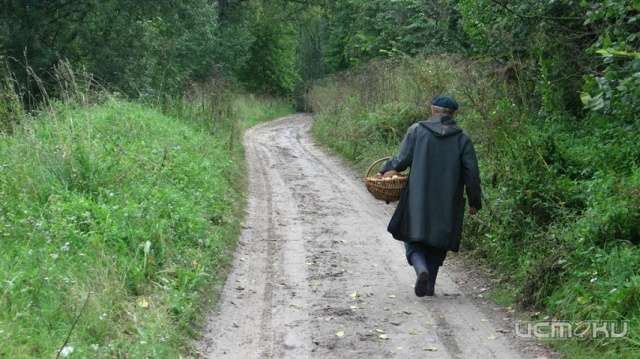 Заблудившийся в лесу орловский грибник дошел до Калужской области