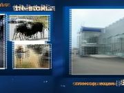 Водители вредители_73