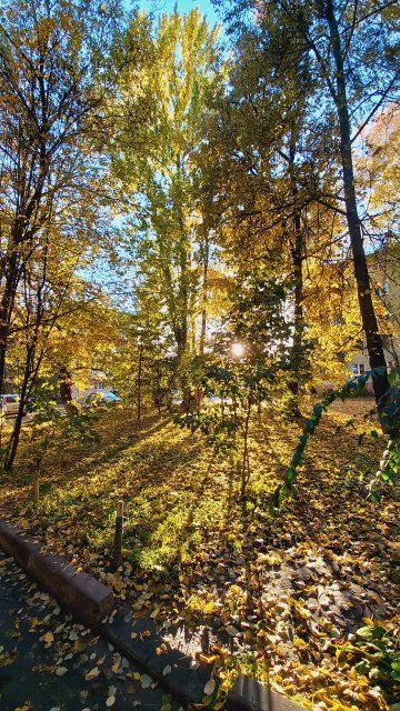 Известно имя нового народного корреспондента «Истоков»