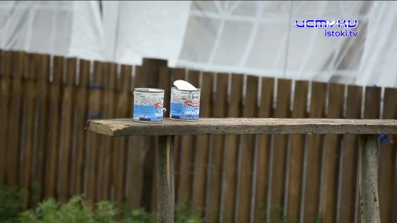 Кульминация Аграрной недели в регионе