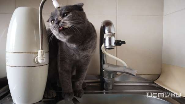 В Орле коммунальщики продолжают отключать воду