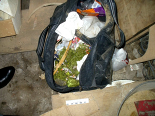 Новости за 90 секунд: Департамент здравоохранения получит нового руководителя, три шестерки в Вооруженные силы, 58 тысяч за визит соцработников