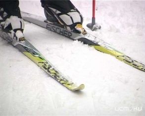 Лыжной гонкой почтят память ветеранов