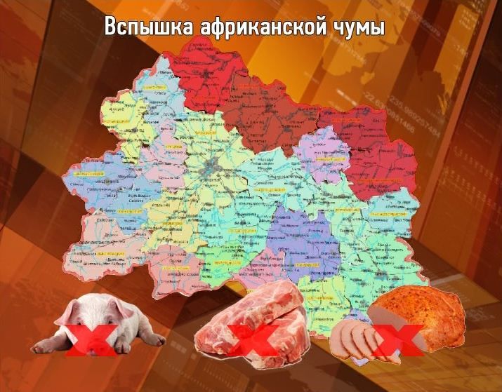 Новости Орла за 90 секунд