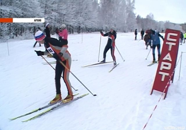 Лыжные гонки в Медведевском лесу 