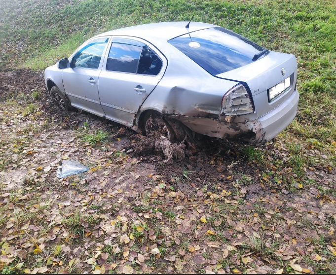 На трассе под Орлом легковушка съехала с дороги. Есть пострадавшие