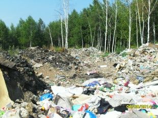 В Болховском районе на 20 суток приостановлена деятельность мусоровывозящей организации 