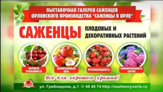Орловчан приглашают в выставочную галерею саженцев орловского производства