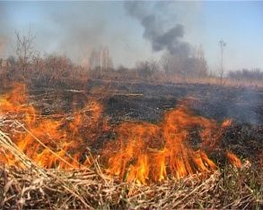 Новости за 90 секунд: незаконная деятельность Покровского спиртзавода приостановлена, Орёл встретил делегацию из Чеченской республики, сухую траву сжигать нельзя