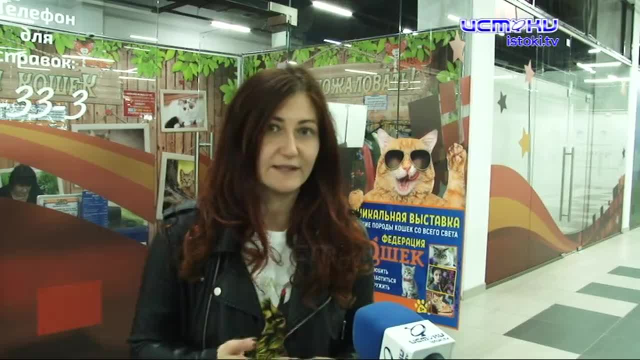 "Кошачий зоопарк" возмутил орловских зоозащитников