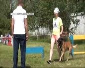В Орле состоялись соревнования по национальным видам дрессировки собак