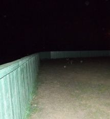 Темнота в парке...