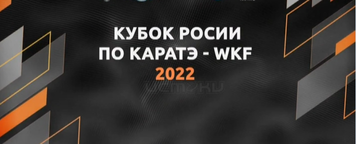 Собрали сильнейших каратистов страны. В Тюмени прошел Кубок России по олимпийской версии карате. Орловские спортсмены привезли оттуда три медали