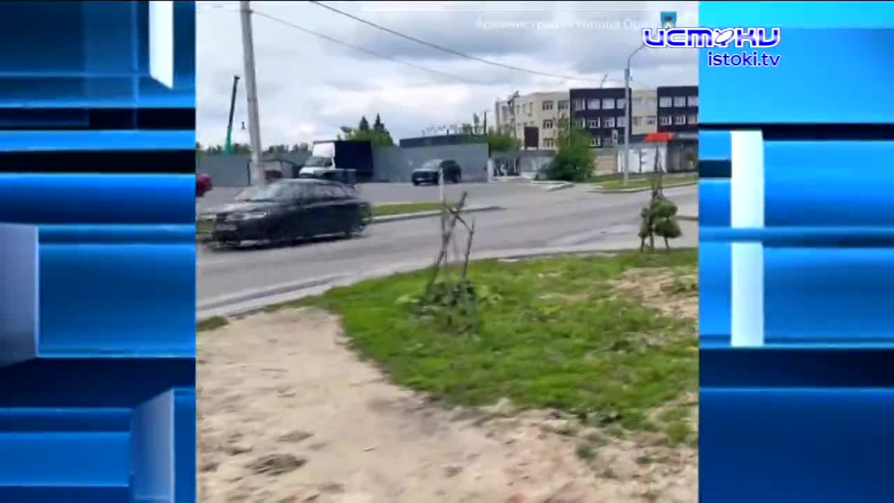 Вандалы сломали молодые клены на улице Ломоносова,