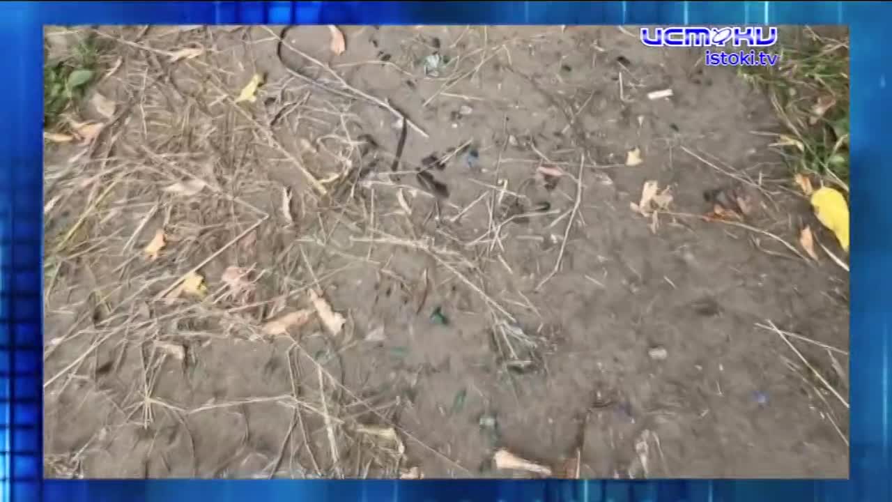 Тернистый путь к знаниям. Экспресс - новости.