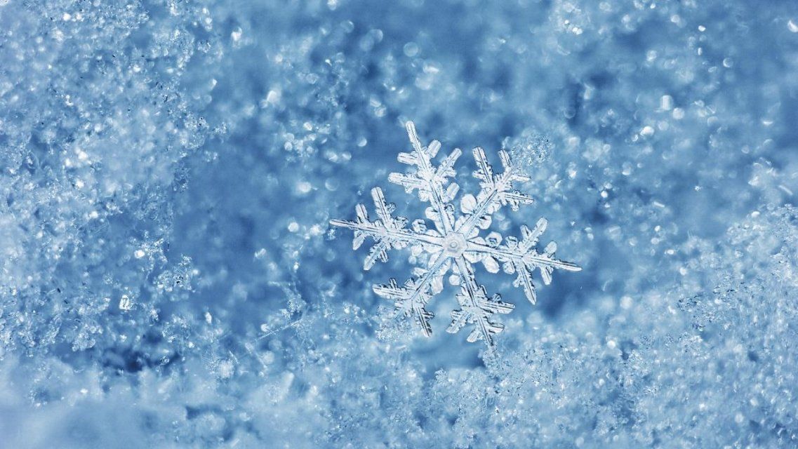 Небольшое похолодание и снег: какая погода будет сегодня в Орле