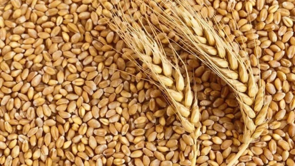 На Орловщине попались на краже двое высокопоставленных полицейских 