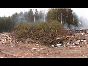 В Болхове предприятие по вывозу мусора приостановило деятельность на 20 дней 