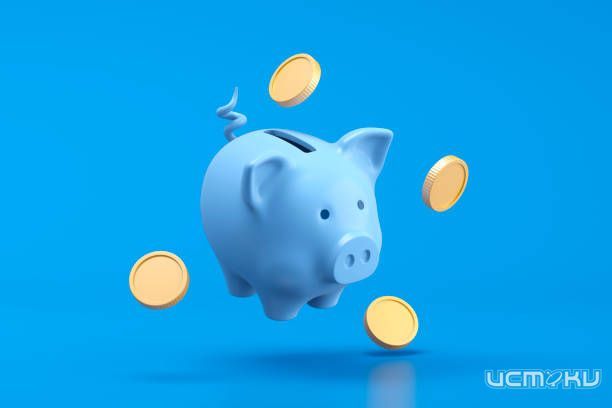 Как выбрать заём среди сотен предложений: пошаговый алгоритм для новичков