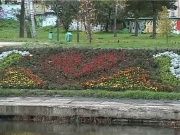 В ритме города gorod