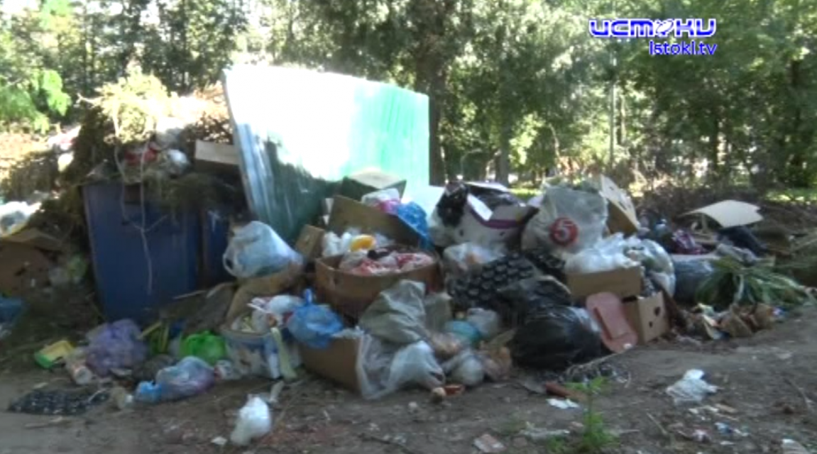 В городе мусор, в кабинетах власти - слова на воздух 