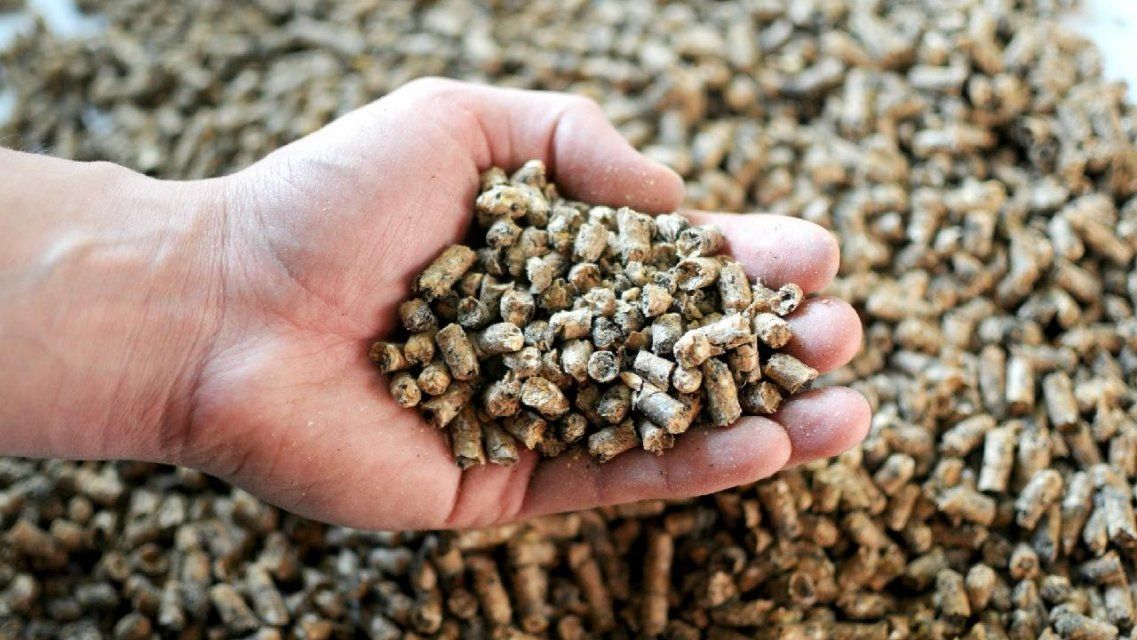 На Орловщине терпит крах крупнейший в регионе производитель комбикорма 