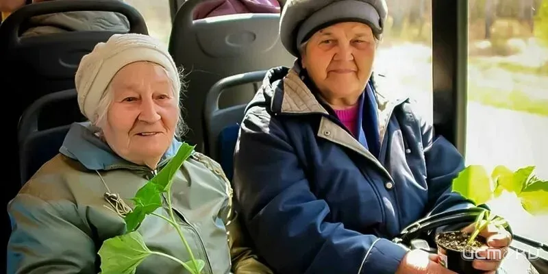 В Орле сезонные автобусы возобновляют работу