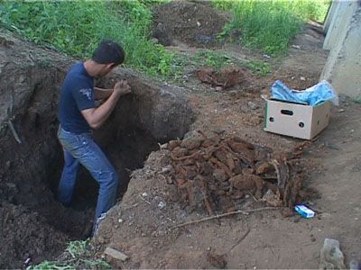 Мост может рухнуть?