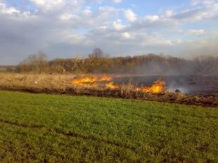 Житель поселка Неполодь предотвратил пожар