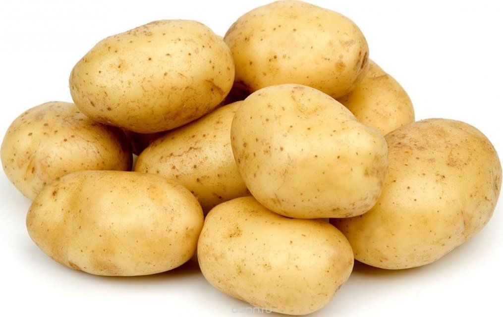 Канадцы собираются построить на Орловщине картофелеперерабатывающий завод 