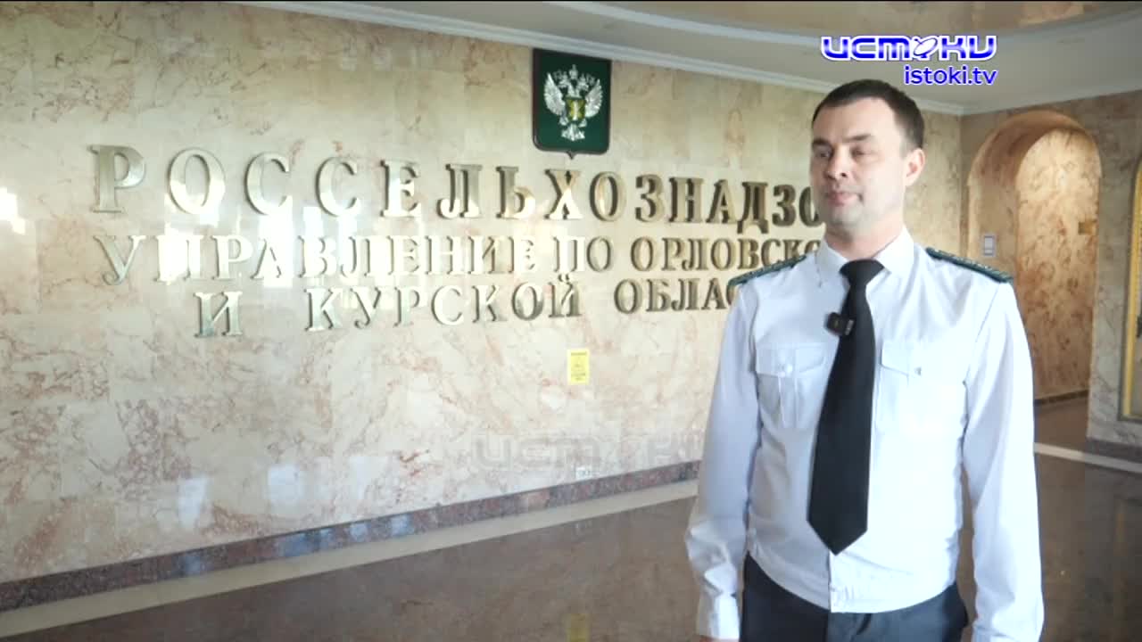 Экспертное мнение 12.03.2025