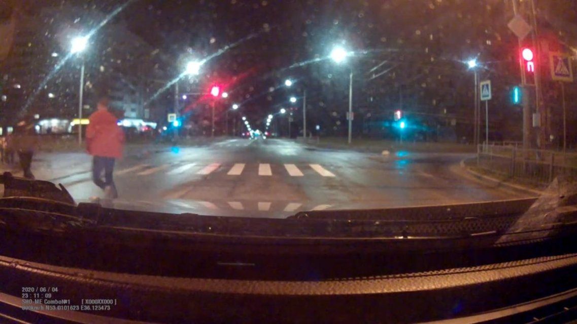 Видео: прохожие и автомобилисты спасли орловчанку от своры собак