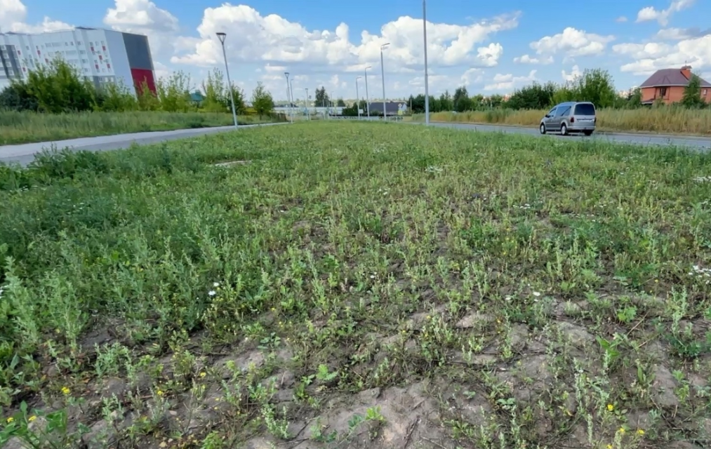 В Орловской области завершены комплексные кадастровые работы, запланированные на 2026 год