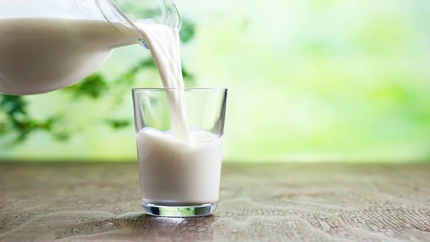 Молочную продукцию в орловские соцучреждения поставляли предприятия-фантомы