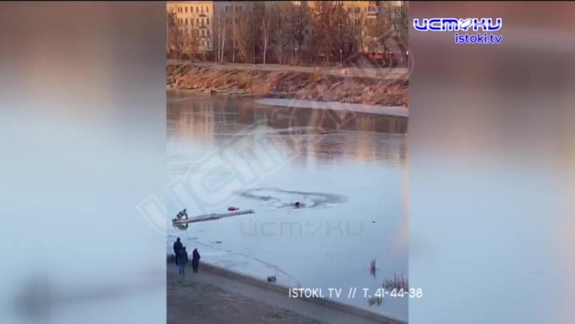 Видео: в Орле спасатели вызволили собаку из ледяного плена
