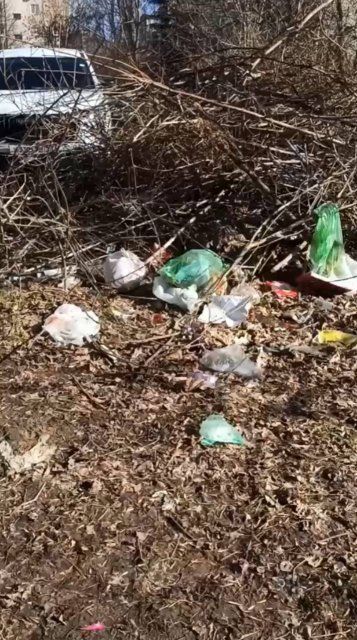 "Где дворники????!!!! Ауууу!!!!"