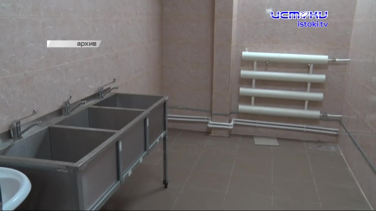 Бродячие собаки в Орле: угроза растёт, а решения нет