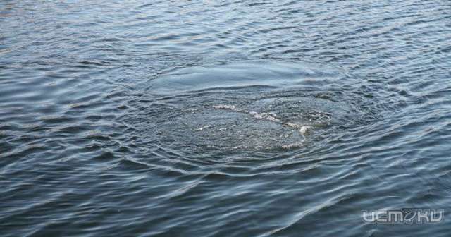 Следователи выясняют причины гибели мужчины в водоеме под Орлом