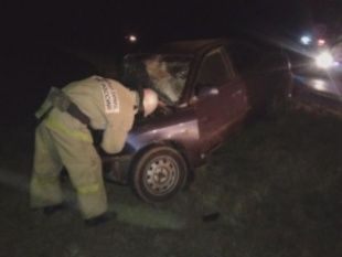 Лобовое столкновение, двое погибли. Сводка ДТП по области за минувшие сутки