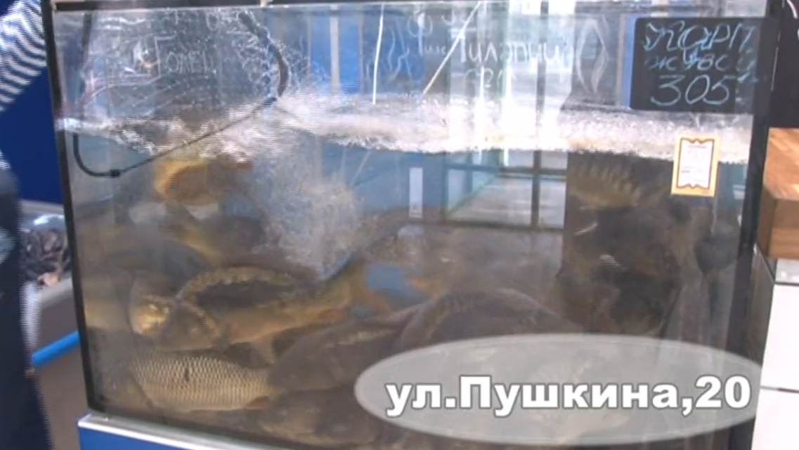 В «Море рыбы» много деликатессных сортов, рыбных полуфабрикатов и креветок