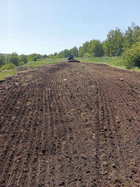 Свалки в Орловской области исчисляются гектарами 