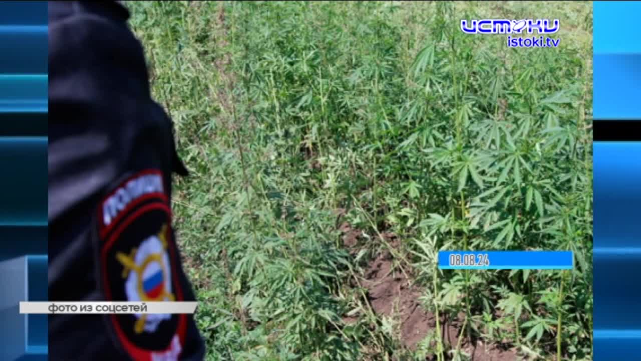 Дайджест 10.08.2024