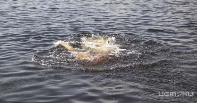 Гибель на воде: жаркая пятница унесла жизни мужчины и ребенка