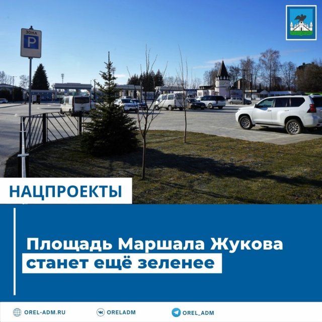 Больше зелени для площади Маршала Жукова 