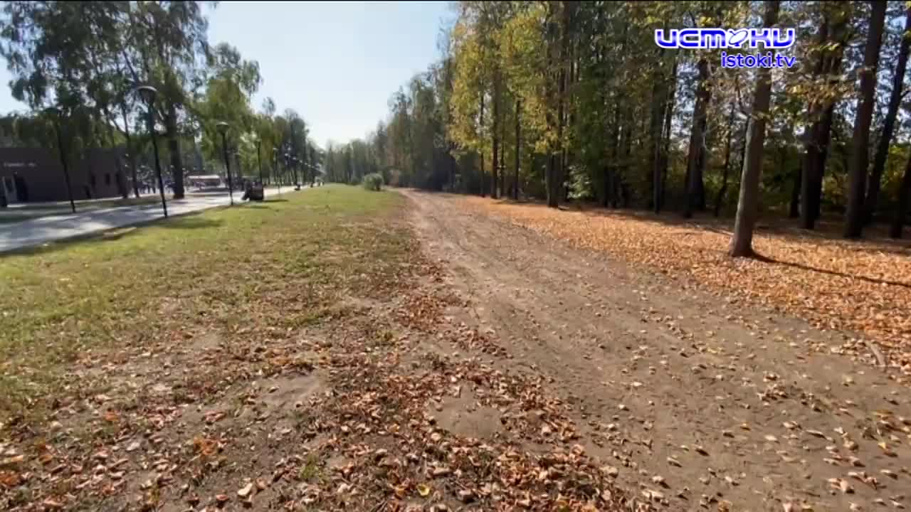 В Орле парк Победы превращается в зону для автомобилей